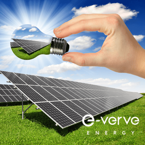 Bifacial solar panels installed over grassed area with light buld held above by mans hand
